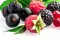 FLORIDA Fruit - Základ na rychlou výrobu ovocné zmrzliny - 2 kg