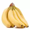 Ochucovací pasta Banán Linea - 3 kg
