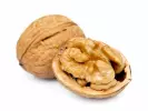 Ochucovací pasta Vlašský ořech Sorrento Linea - 5 kg