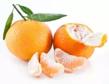 Zmrzlina Mandarinková (báze Frutta)