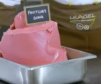 Zmrzlina Guava sorbet